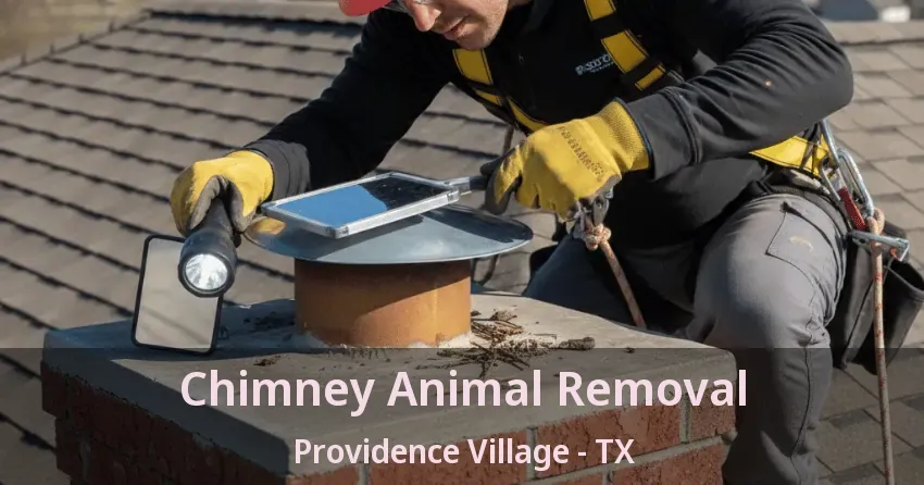 Chimney Animal Removal Providence Village - TX