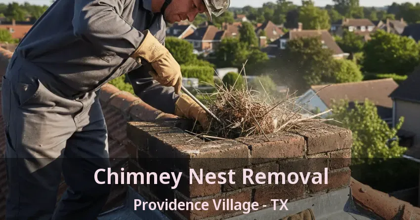 Chimney Nest Removal Providence Village - TX