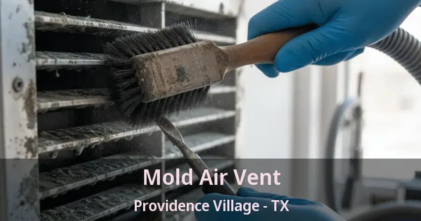 Mold Air Vent Providence Village - TX