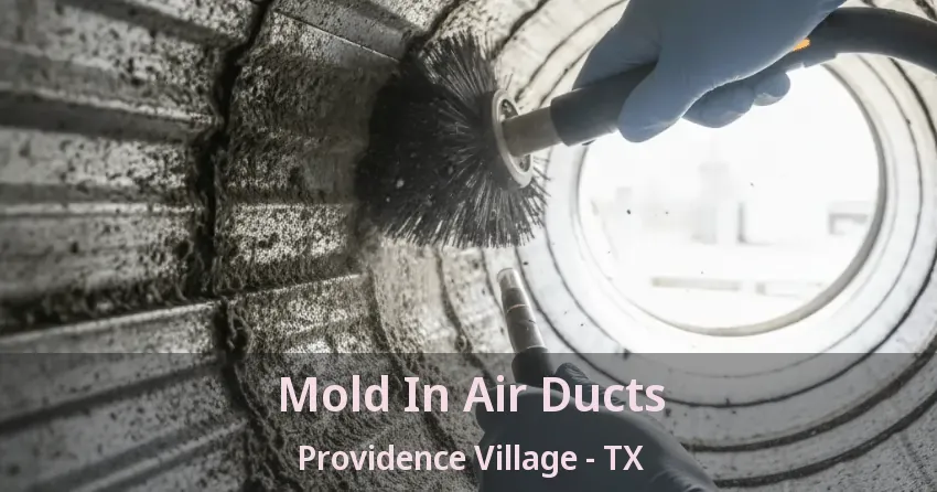 Mold In Air Ducts Providence Village - TX