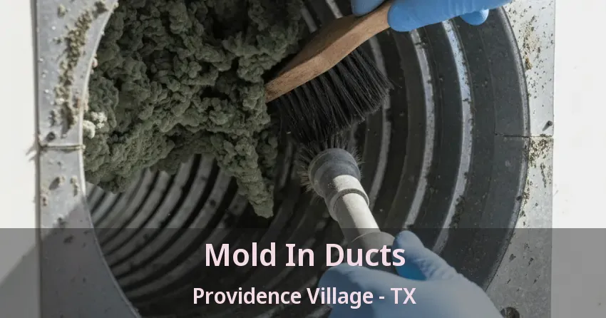 Mold In Ducts Providence Village - TX