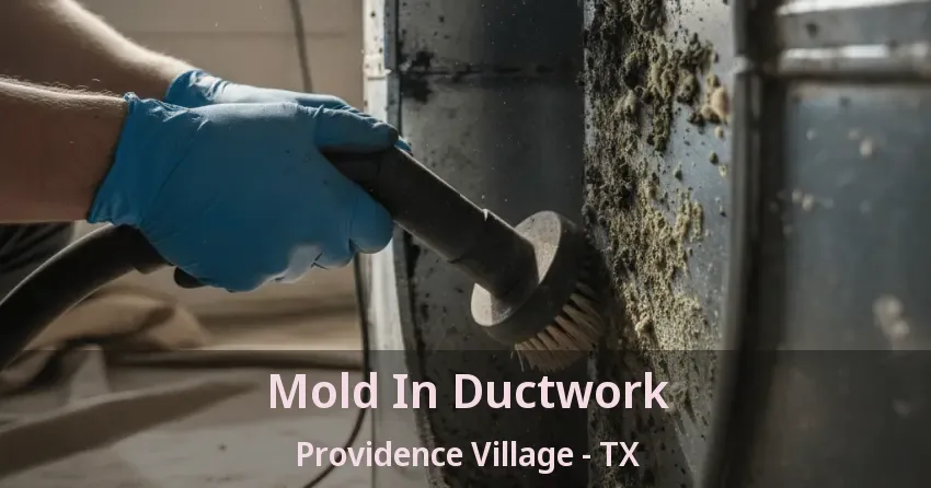 Mold In Ductwork Providence Village - TX