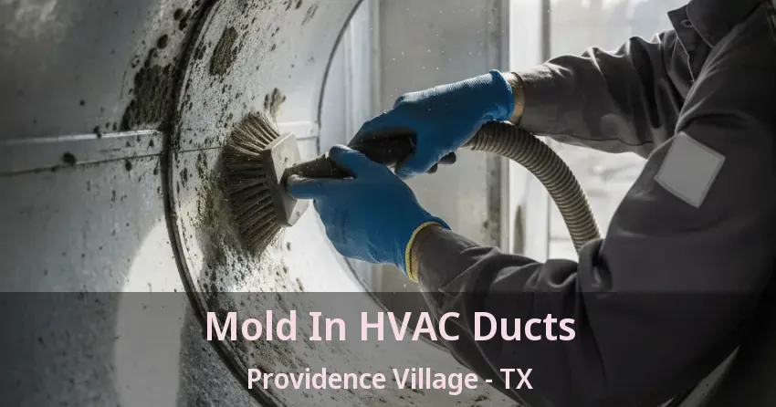 Mold In HVAC Ducts Providence Village - TX