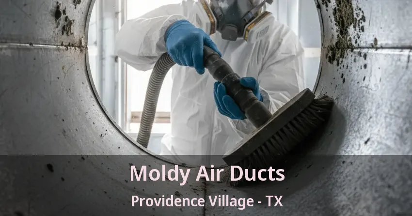 Moldy Air Ducts Providence Village - TX Moldy Air Ducts Providence Village - TX